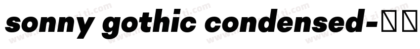 sonny gothic condensed字体转换